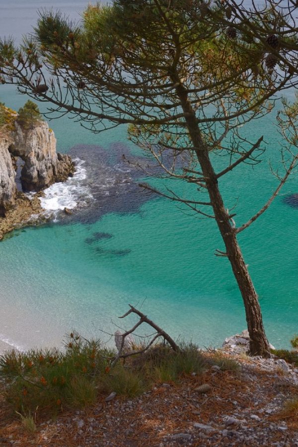 île vierge
