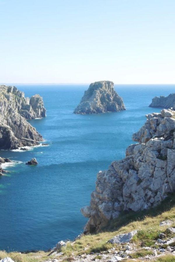 les tas de pois