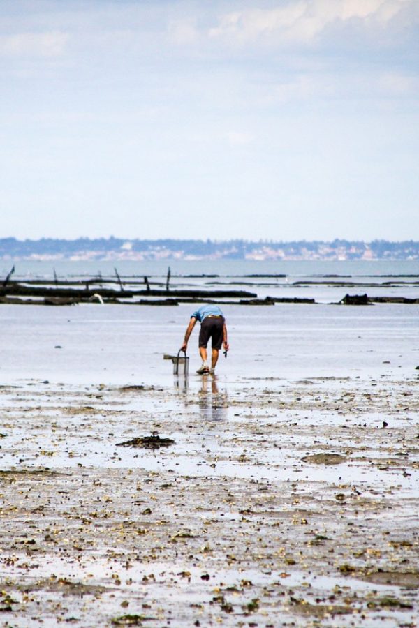 noirmoutier-2641384_1280